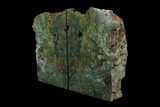 Green Jasper Replaced Petrified Wood Bookends - Oregon #162874-2